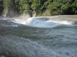 album_photo